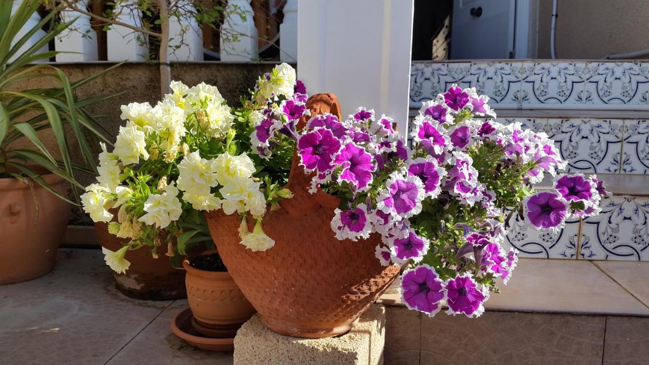 La Zenia